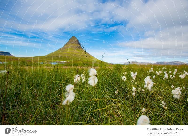 Kirkjufell Environment Nature Landscape Blue Green White Iceland Flower Sky Clouds Landmark Bog Grass Juicy Mountain Tourism Travel photography Colour photo