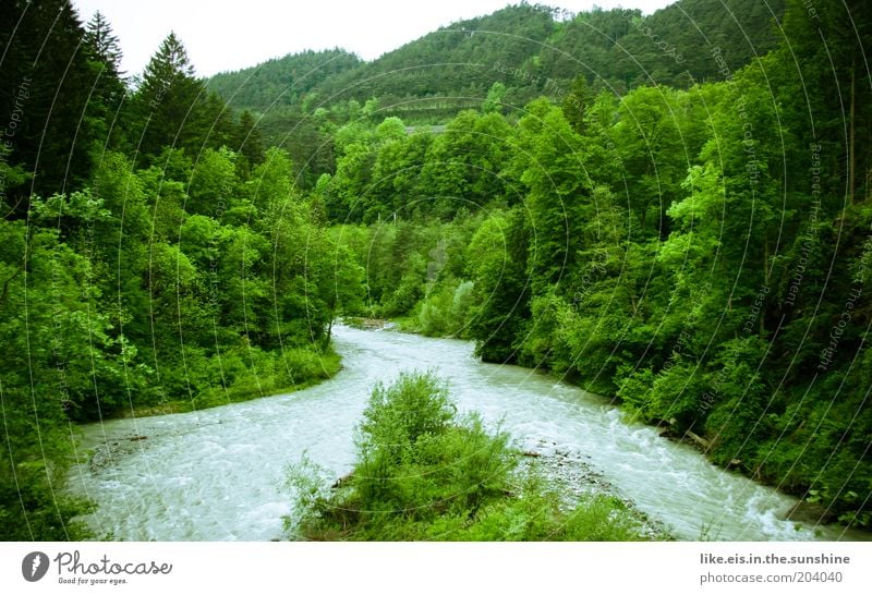 The mill clatters by the rushing brook Harmonious Plant Tree Bushes Forest Virgin forest Hill River bank Island Canyon sill Mouth of a river river delta