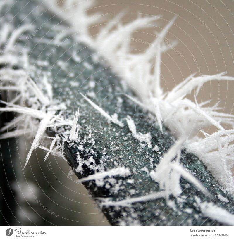 frost Winter Weather Ice Frost Snow Handrail Gray White Cold Frozen Ice crystal Icicle Cone Exterior shot Close-up Day Blur Small Deserted