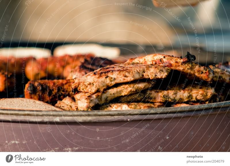 carnal desire Barbecue (event) Nutrition Steak Bratwurst Appetite Deserted Detail Copy Space top Meat Shallow depth of field Barbecue (apparatus)