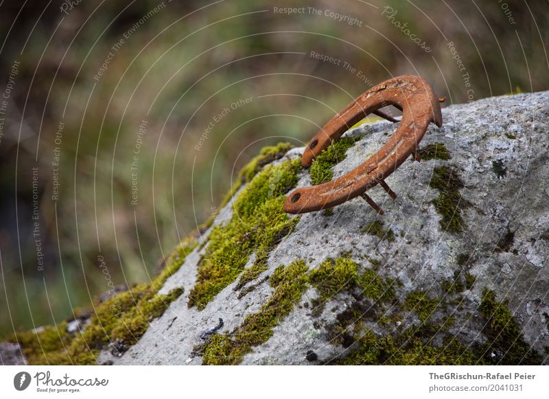 Good luck Nature Brown Gray Green White Stone Moss Happy Symbols and metaphors Horseshoe Nail Structures and shapes Colour photo Exterior shot Detail Deserted