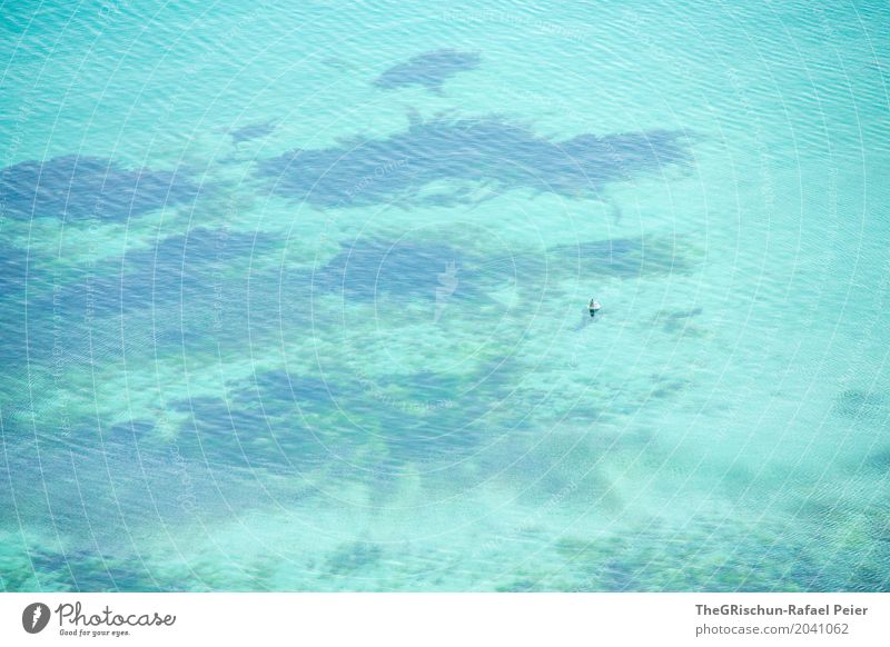 watercolour Environment Nature Landscape Blue Turquoise Ocean Considerable Perspective Swimming Transparent Sea water Appealing Water Colour photo Exterior shot