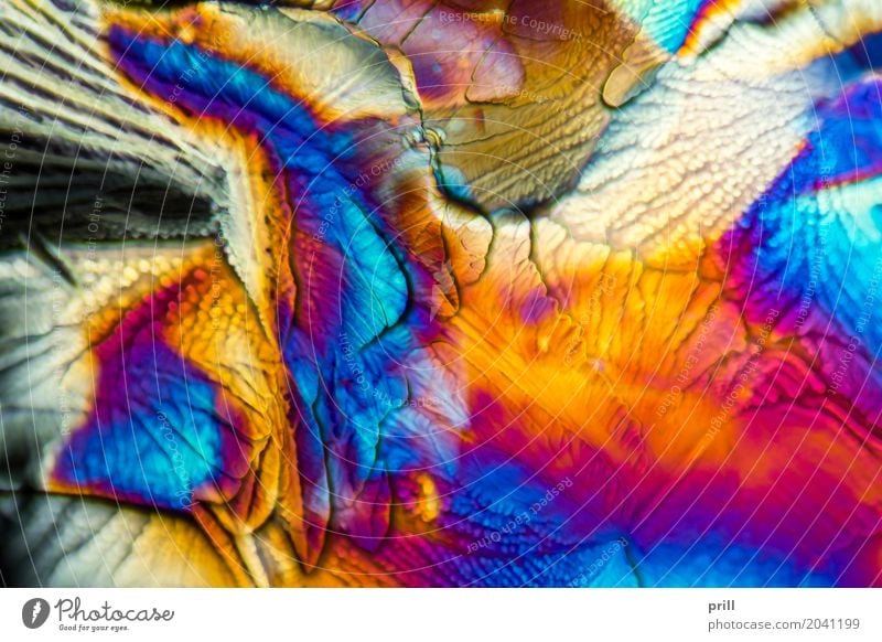 microscopic galactose crystals Science & Research Nature Exceptional d-galactose Sugar microcrystalline Crystal semitransparent transmitted Artificial Minerals