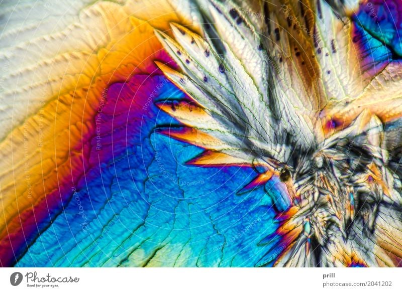 microscopic galactose crystals Science & Research Nature Exceptional d-galactose Sugar microcrystalline Crystal semitransparent transmitted Artificial Minerals