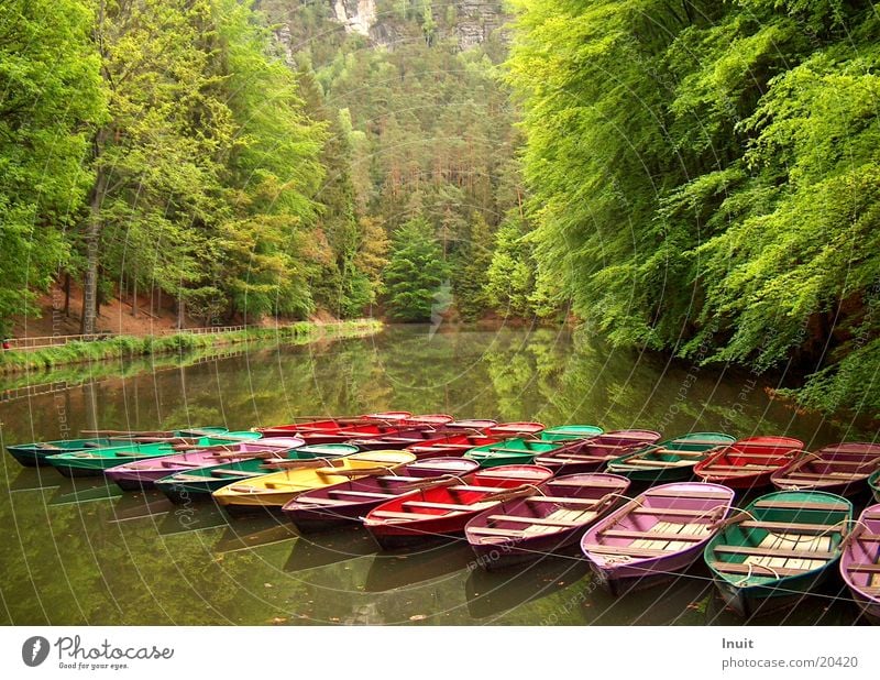 Colourful boats Calm Mountain lake Navigation blackbird lake Saxon Switzerland Water Reflection