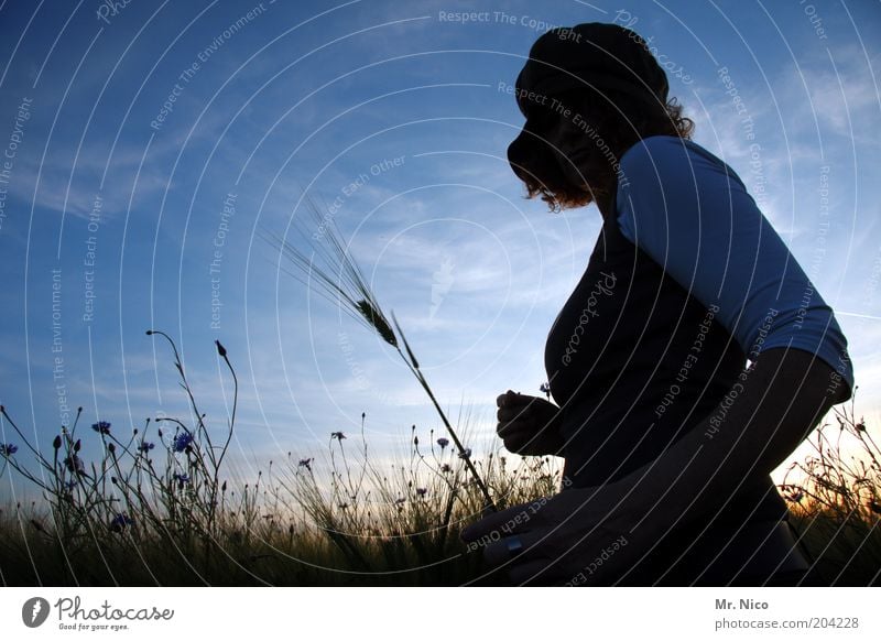 Summer evening lll Feminine Woman Adults Chest Environment Nature Landscape Sky Climate Beautiful weather Plant Field Cap Curl Warm-heartedness Cornfield Dream