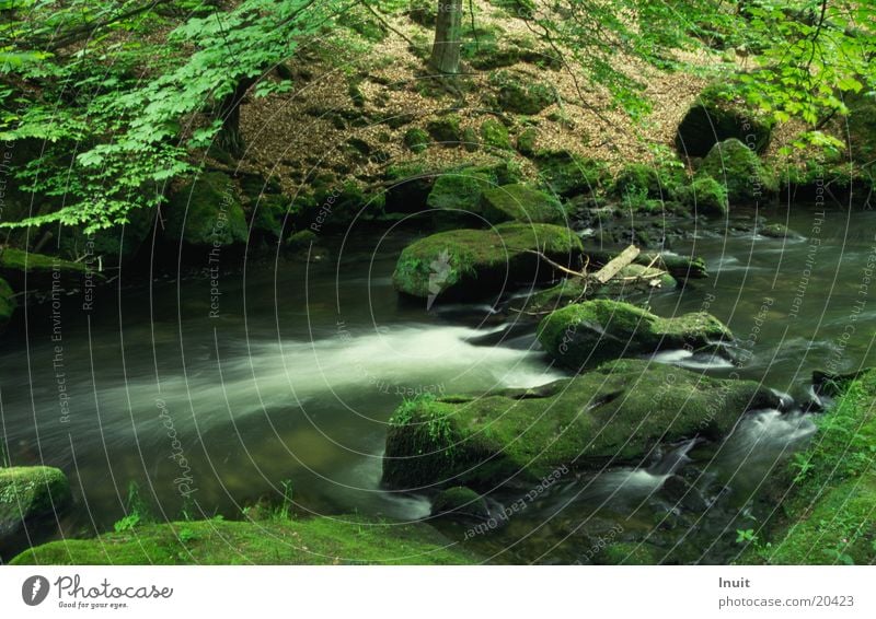 Water Brook Green River Stone Rock Edmundsklamm Kamenice