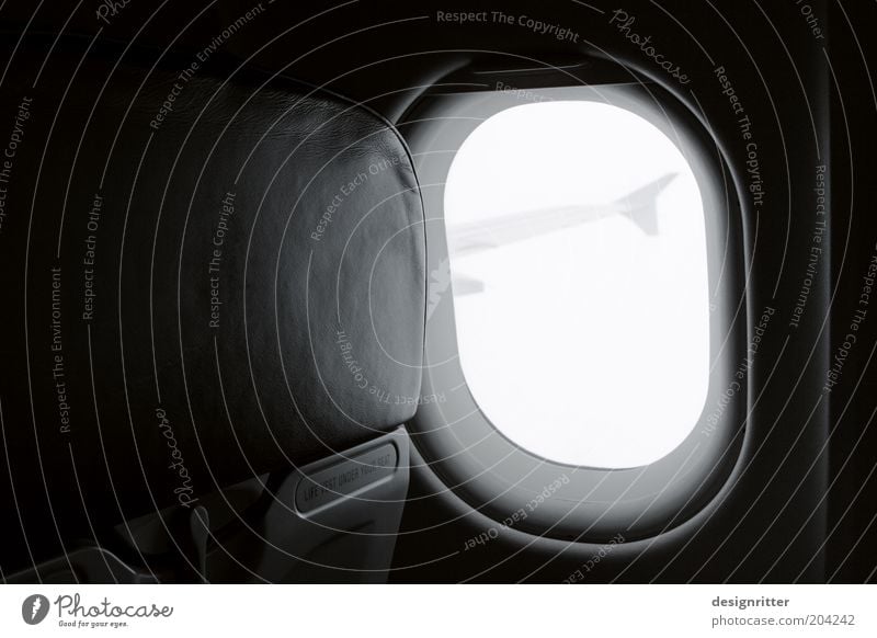 good journey Vacation & Travel Tourism Far-off places Freedom Aviation Airplane Passenger plane In the plane View from the airplane Flying Anticipation Optimism