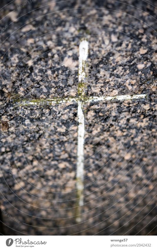 Risk is inevitable. Stone Sign Crucifix Old Dark Town Brown Gray Black White Goodness Christian cross Tombstone Memory Remember Christianity Forget Moss