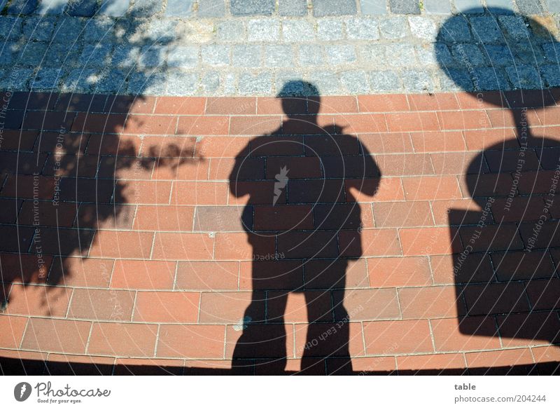 shadowy existence Human being Masculine Man Adults 1 Pedestrian Street Lanes & trails Road sign Looking Stand Wait Dark Gray Red Black Pavement Tree