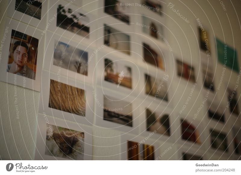 reminiscences Flat (apartment) Wall (building) Photography Looking Exceptional Beautiful White Moody Contentment Colour photo Interior shot Deserted Twilight