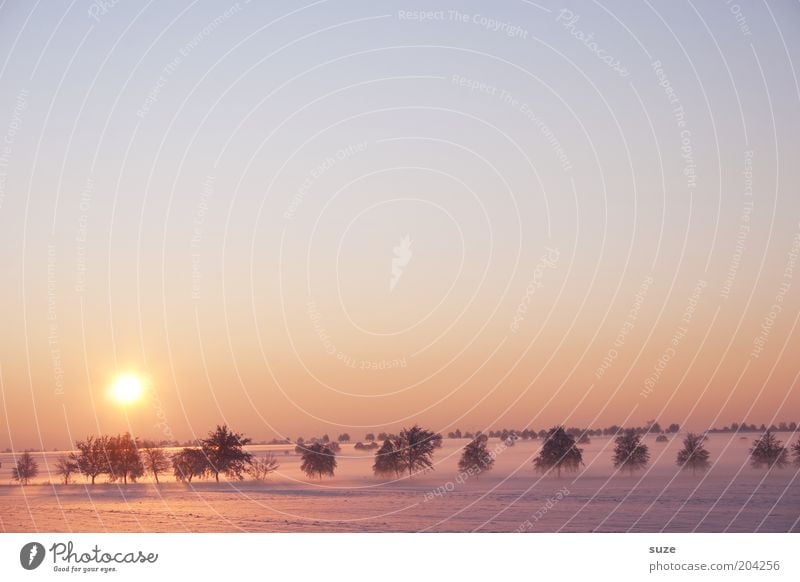 conception Sun Environment Nature Landscape Elements Sky Cloudless sky Horizon Winter Climate Beautiful weather Fog Snow Tree Field Esthetic Exceptional