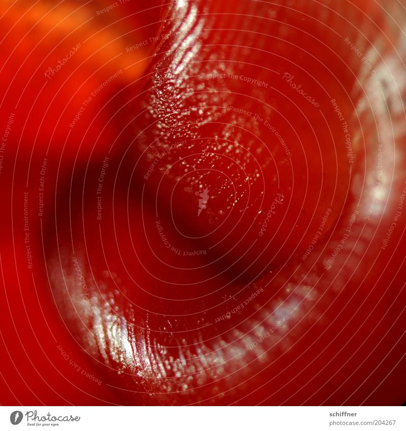 I'll kiss you! Lips Red Desire Glittering Furrow Candle Wax Muddled Close-up Macro (Extreme close-up)