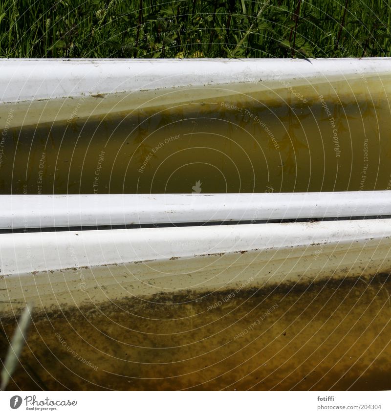 bath (bathtub) season Nature Water Grass Old converted Bathtub Brute watering place White Putrefy Stale Individual Brownish Calm Reflection Subdued colour