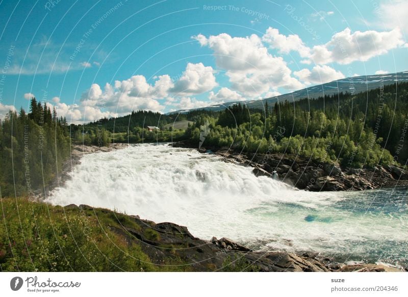 salmon migration Vacation & Travel Mountain Environment Nature Landscape Water Sky Clouds Summer Beautiful weather Meadow Forest Waterfall Exceptional Gigantic