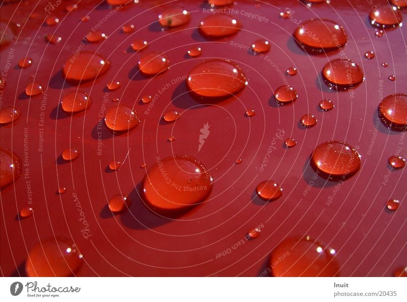 trickle Red Obscure Varnish Rain Water Close-up Macro (Extreme close-up)