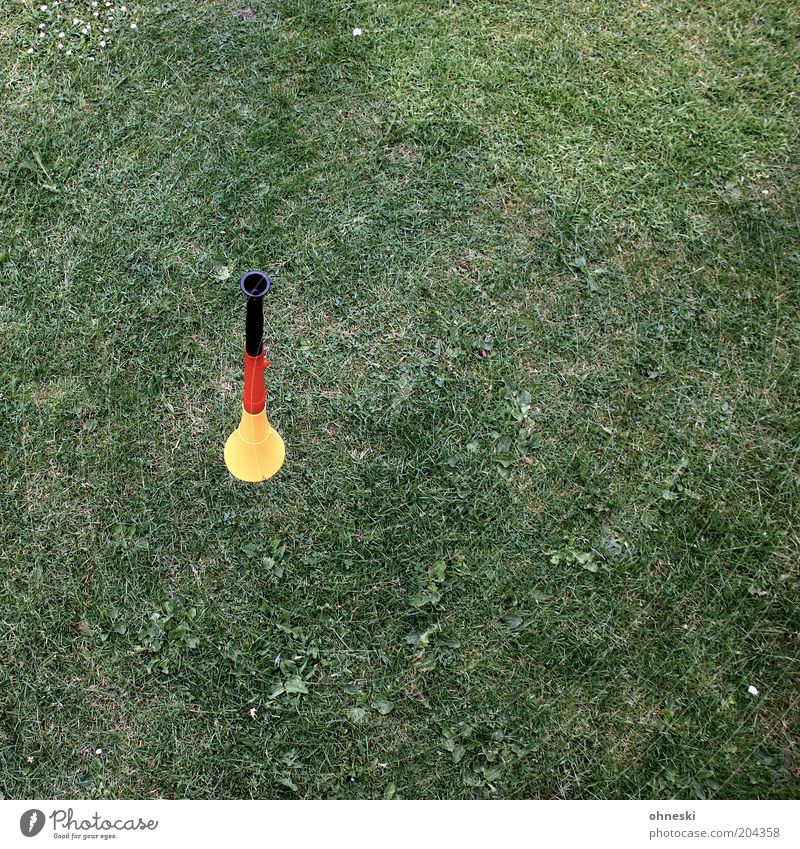 quiet please! Music Trumpet Grass Meadow Gold Red Black Soccer Fan Germany Moody Colour photo Multicoloured Bird's-eye view Deserted