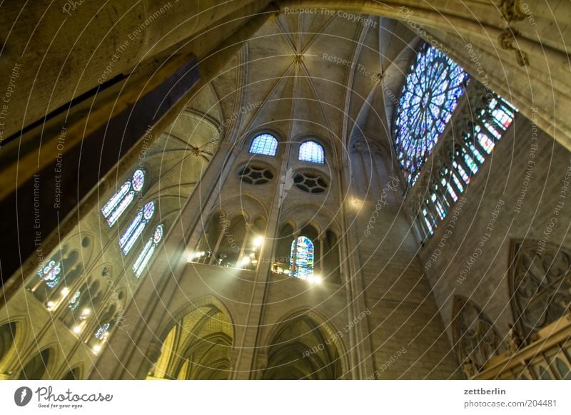 Whitsun Notre Dame Cathedral Religion and faith Church Dome Gothic period Rosette Window Light Shaft of light Domed roof Paris Ile de la Cité his island France