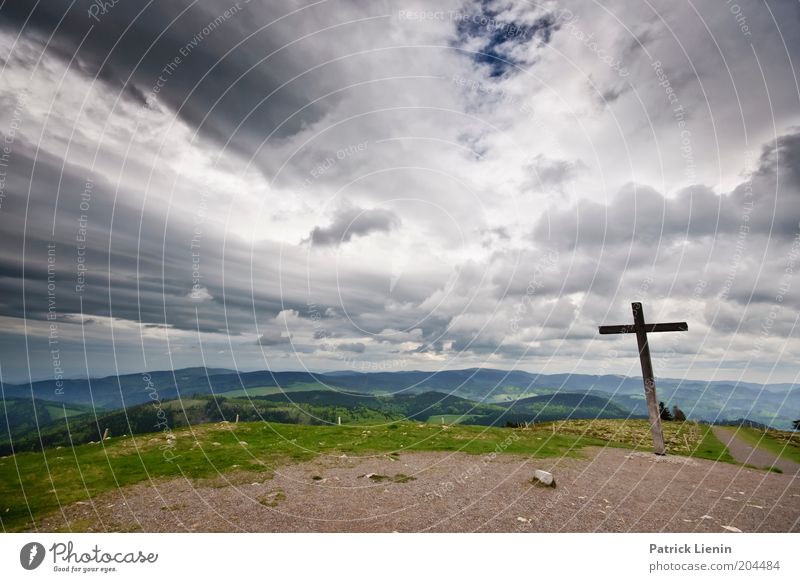 summit cross Environment Nature Landscape Elements Earth Air Horizon Spring Climate Climate change Weather Bad weather Wind Rain Thunder and lightning Plant