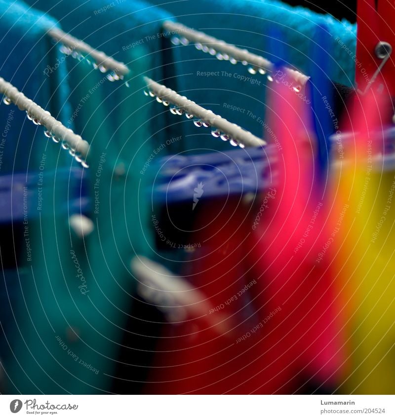 bathing day Living or residing Fresh Cold Wet Blue Multicoloured Yellow Pink Clothes peg Towel Laundry Clothesline Flashy Drop Dripping Rain Colour Colour photo