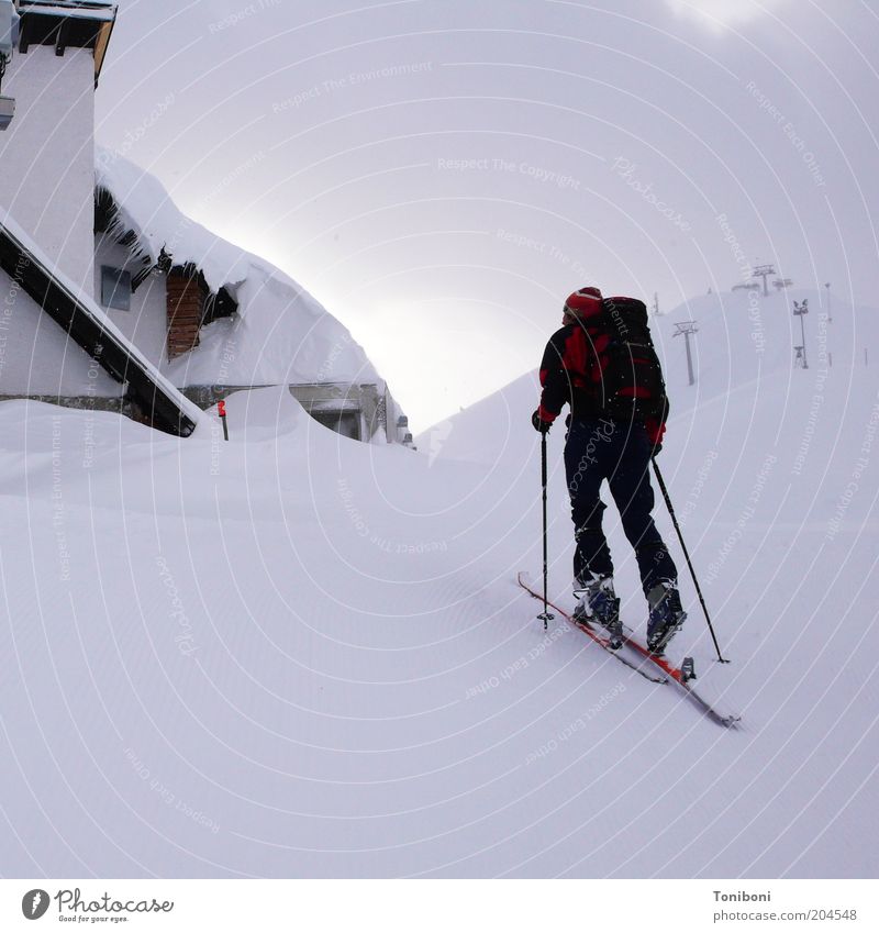 snowy sky Calm Leisure and hobbies Winter Snow Winter vacation Mountain Sports Winter sports Skis Nature Landscape Clouds Fog Alps "Nordkette Seegrube" Fitness