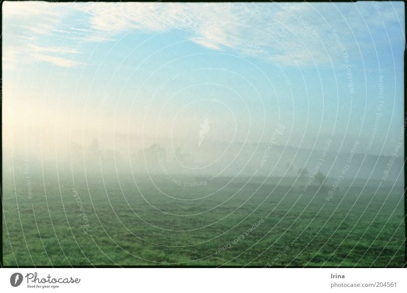 Towards Bialowieza Landscape Poland Vacation & Travel Calm Infinity Meadow Fog Pasture Green space Haze National Park Nature Copy Space bottom Deserted Fog bank