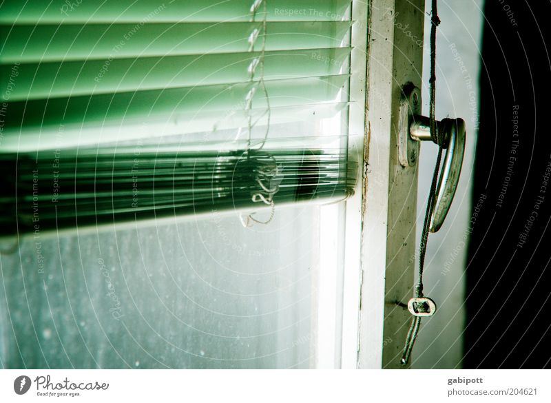 The window to the courtyard Building Window Venetian blinds Door handle Knob Glass Old Broken Green Black White Open Subdued colour Interior shot Deserted Day