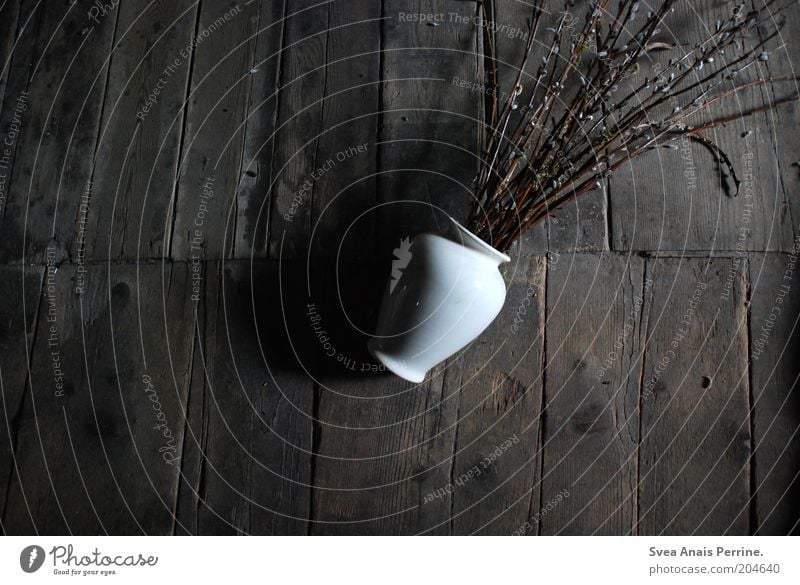 flowers in the garbage Plant Catkin Wood Lie Dirty Dark Brown Black White Emotions Sadness Stagnating Vase Twig Shadow Subdued colour Interior shot Deserted