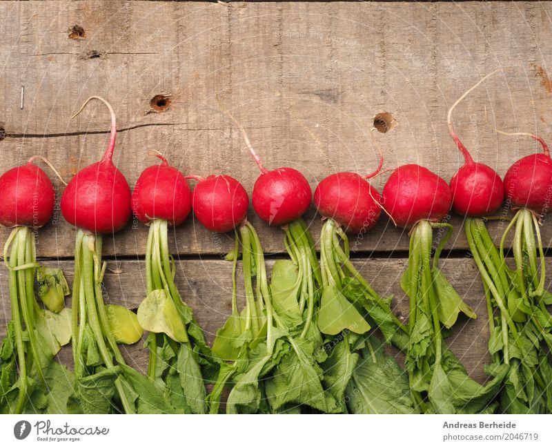 radish Vegetable Organic produce Summer Delicious agriculture bunch colorful diet farm food fresh natural nourishment nutrition organic Vegan diet Vitamin