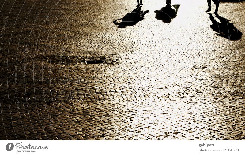 praça da grande sombra Human being Group Lisbon Pedestrian precinct Places Cobblestones Going Joie de vivre (Vitality) Movement Idyll Uniqueness Summer