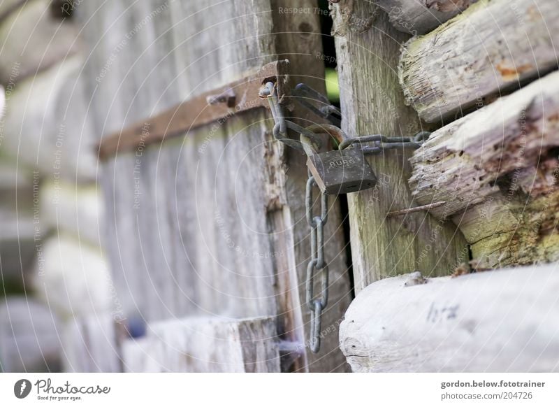 That's my "castle". Wood Lock Protection Colour photo Exterior shot Detail Deserted Blur Padlock Wooden door Wooden hut Chain Slightly open door Old Day