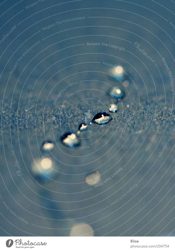 Close-up of water drops on blue background Water Wet Drop Fresh Considerable Blue Subdued colour Copy Space top Shallow depth of field Drops of water