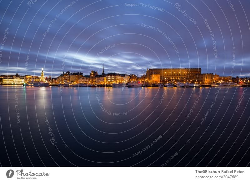 Stockholm Palace Town Capital city Blue Yellow Gold Black Light Tree Christmas tree Sweden House (Residential Structure) Building Old town Reflection Water