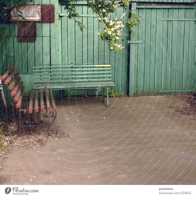 Two benches stand in front of a Mitgrün wooden hut in the nature. Smokers' corner House (Residential Structure) Plant Goal Bench Relaxation hang Authentic green