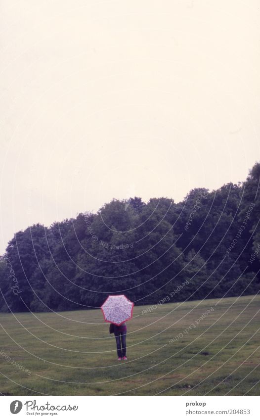 Crooked and crooked Leisure and hobbies Human being Woman Adults Environment Nature Landscape Sky Tree Park Meadow Umbrella Stand Loneliness Freedom Mysterious