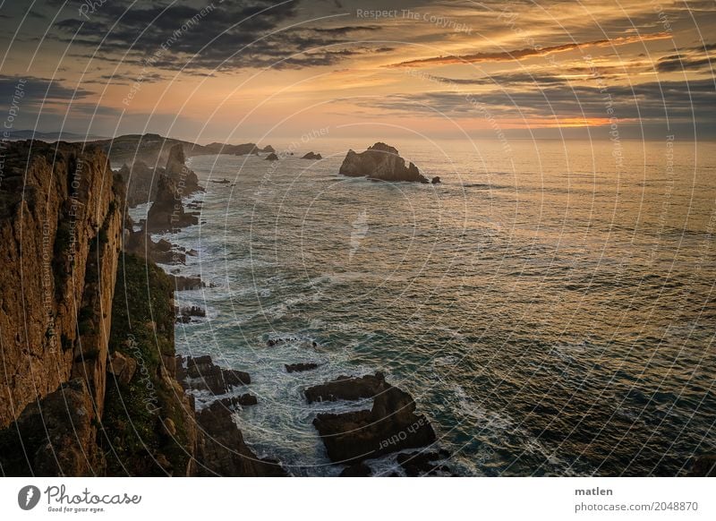 on the cliffs Nature Landscape Sky Clouds Sunrise Sunset Summer Weather Beautiful weather Rock Waves Coast Beach Bay Reef Ocean Brown Gold Green Violet Orange