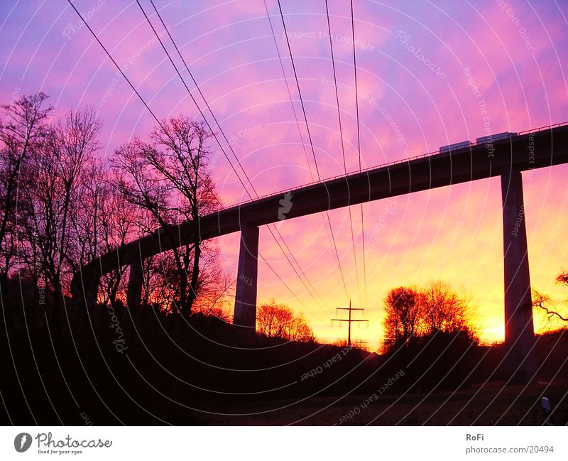 under the bridge Sunrise Tree Break Bridge Cable Colour Morning