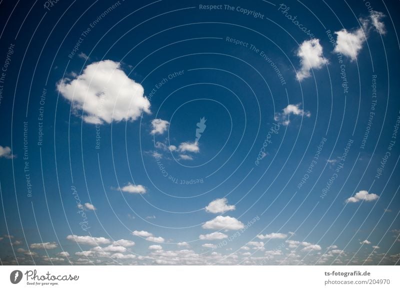 cotton wool horizon Far-off places Freedom Environment Elements Air Sky Sky only Clouds Weather Beautiful weather Warmth Altocumulus floccus Cotton wool clouds