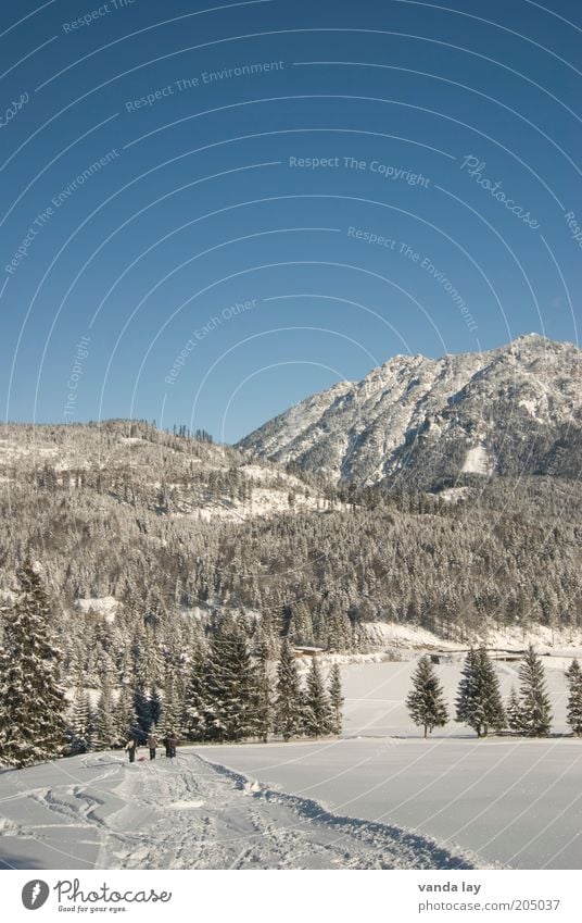 cooling down Environment Nature Landscape Elements Sky Cloudless sky Winter Beautiful weather Snow Forest Alps Mountain Snowcapped peak Cold White Austria