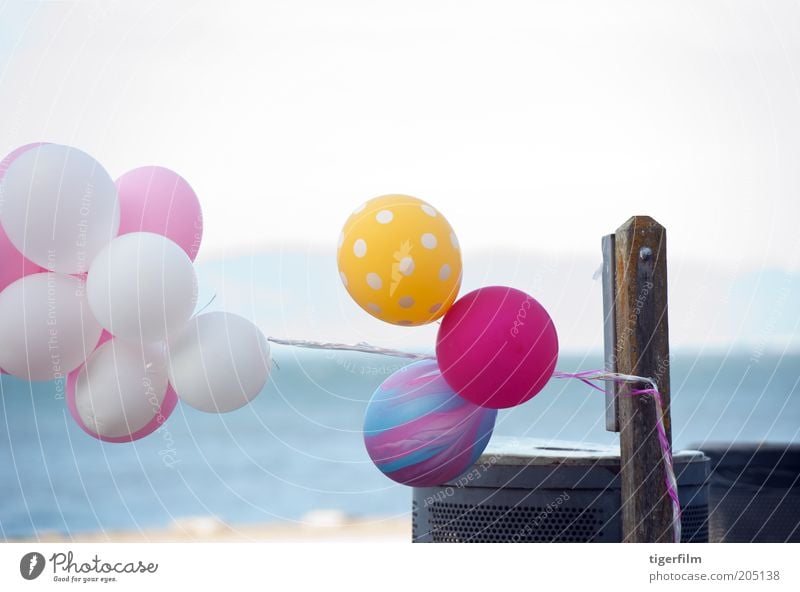 balloons swaying in the wind Balloon Colour Multicoloured Pink Yellow Blue Sky ""san francisco"" ""bay area"" Beach Coast Water Trash Tin Trash container tied