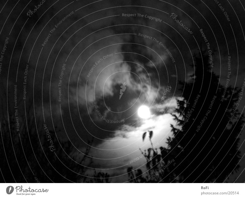 night of the full moon Full  moon Night Clouds Mystic Eerie Dark Light Moon Black & white photo Sky