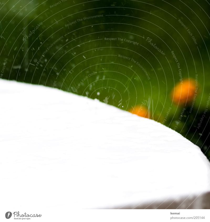 Refreshment! Environment Water Drops of water Spring Summer Climate Weather Bad weather Rain Table Green White Inject squirt away Colour photo Multicoloured