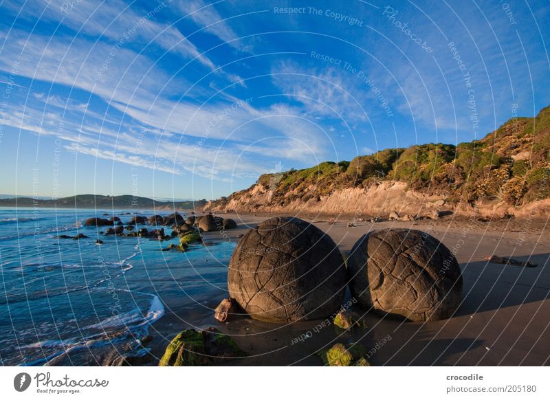 New Zealand 125 Environment Nature Landscape Hill Rock Ocean Island Old Exceptional Authentic Esthetic Threat Colour photo Exterior shot Detail Deserted Morning