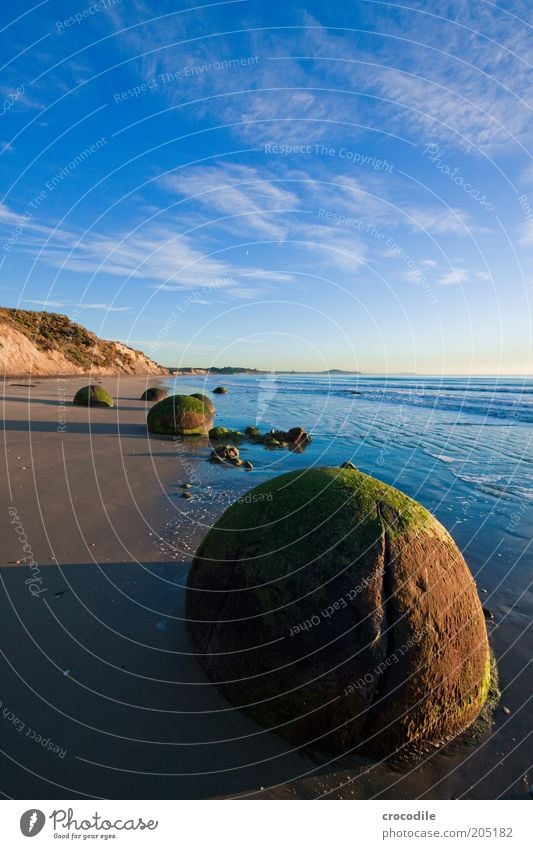 New Zealand 127 Environment Nature Landscape Hill Rock Ocean Island Old Exceptional Authentic Esthetic Threat Colour photo Exterior shot Detail Deserted Morning