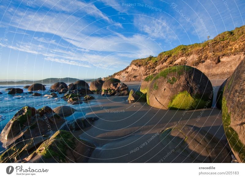 New Zealand 128 Environment Nature Landscape Hill Rock Ocean Island Old Exceptional Authentic Esthetic Threat Colour photo Exterior shot Detail Deserted Morning