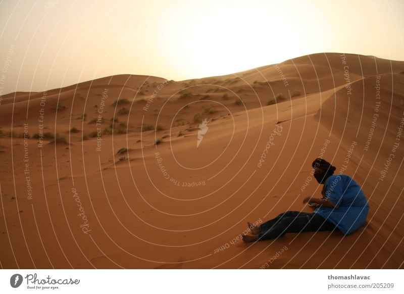 Sahara desert in Morocco Human being Masculine 1 Environment Nature Landscape Sand Sky Cloudless sky Wind Drought Desert Vacation & Travel Dune Colour photo