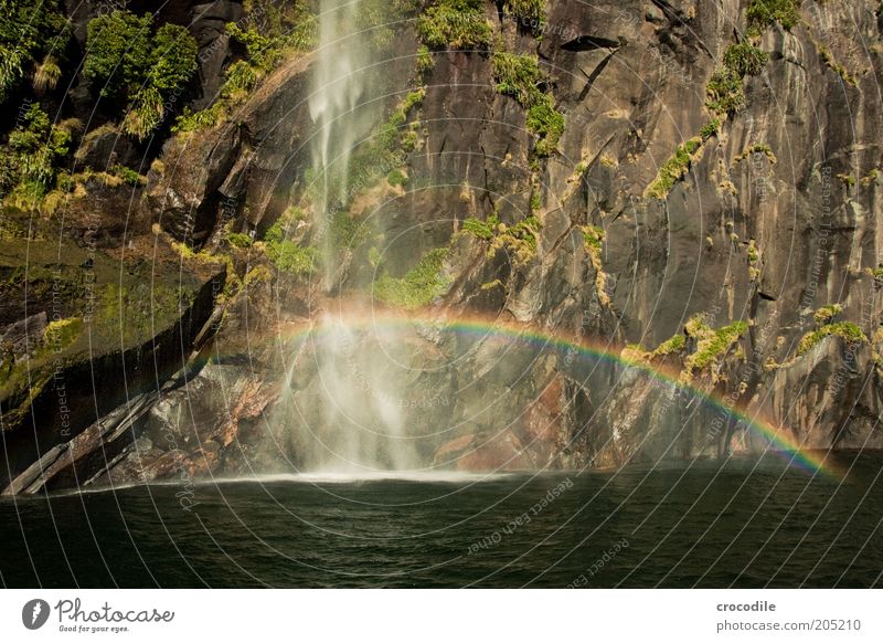 New Zealand 136 Environment Nature Landscape Beautiful weather Mountain Coast Bay Fjord Ocean Island Waterfall Milford Sound Esthetic Colour photo Exterior shot