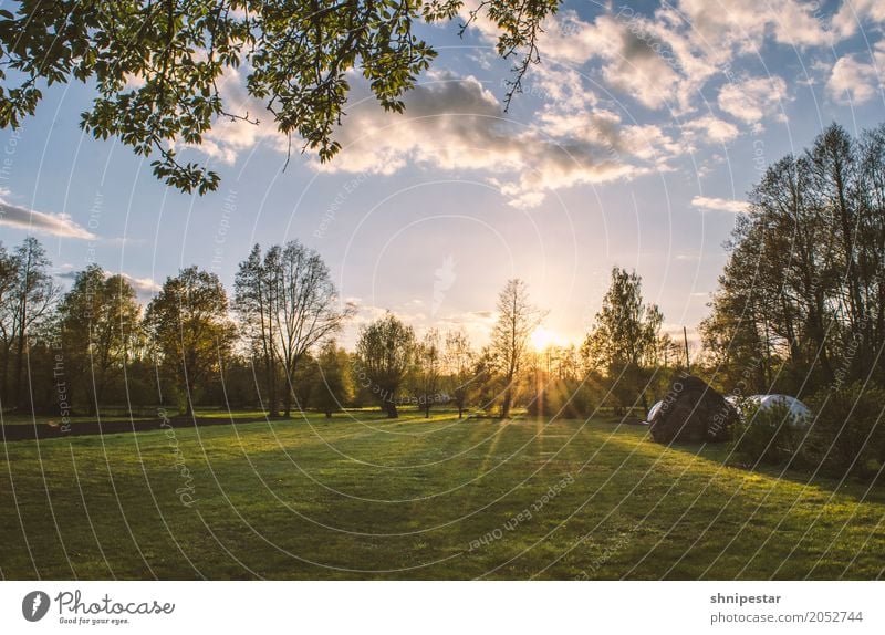 Sunset in the Spreewald Wellness Life Harmonious Well-being Contentment Senses Relaxation Calm Meditation Fragrance Cure Vacation & Travel Camping Easter