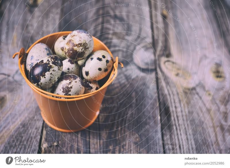 Fresh quail eggs Eating Breakfast Diet Crockery Table Easter Wood Bright Small Natural Above Gray Tradition Bucket eco Organic Farm Tasty healthy Shell Fragile