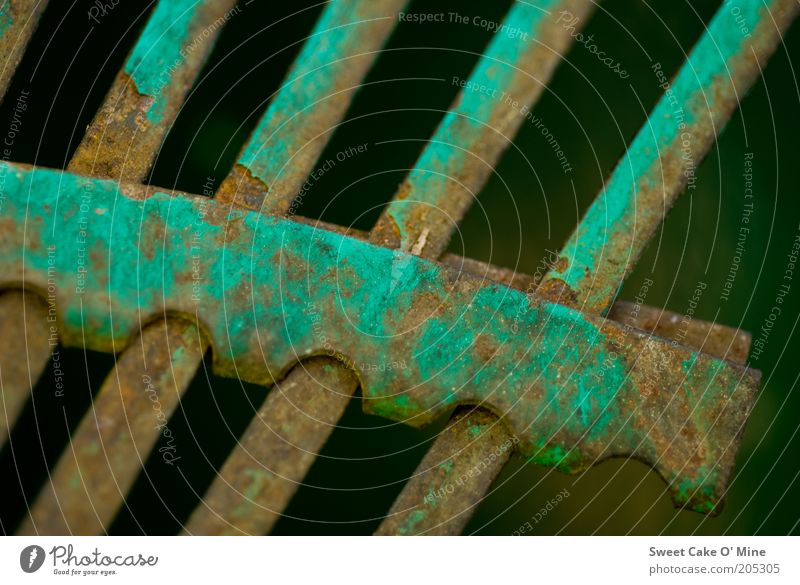 Garden in detail Metal Broken Brown Green Perspective Rust Metal post Row Beaded Ravages of time Defective Old Colour photo Exterior shot Detail